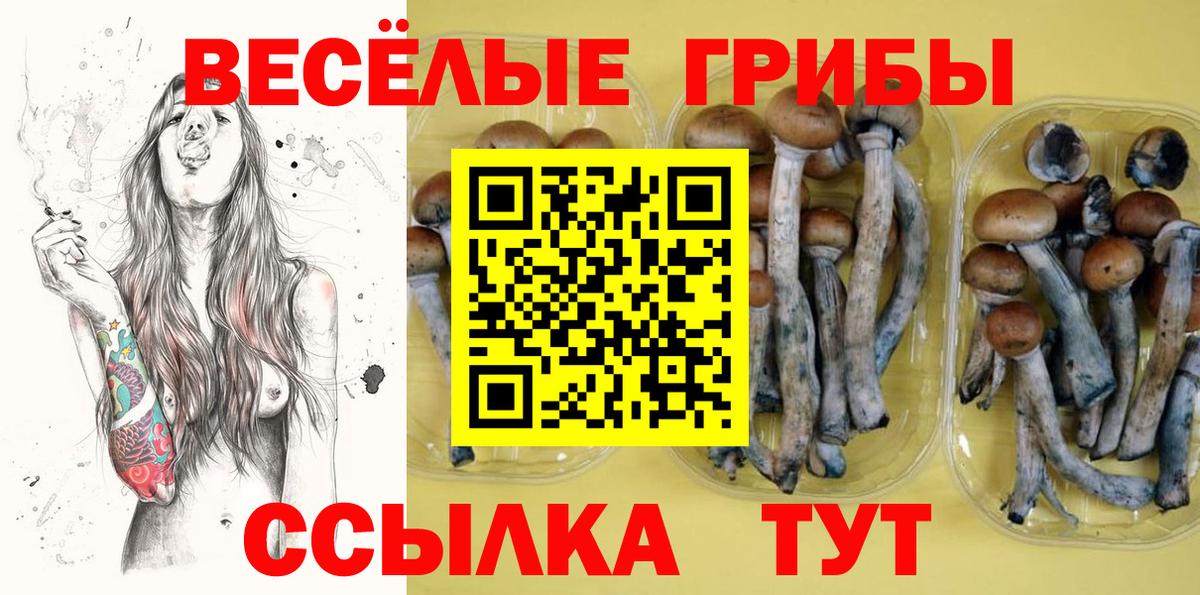 Псилоцибиновые грибы Magic Shrooms  Вход с VPN  Псилоцибиновые грибы Psilocybe  Тамбов 