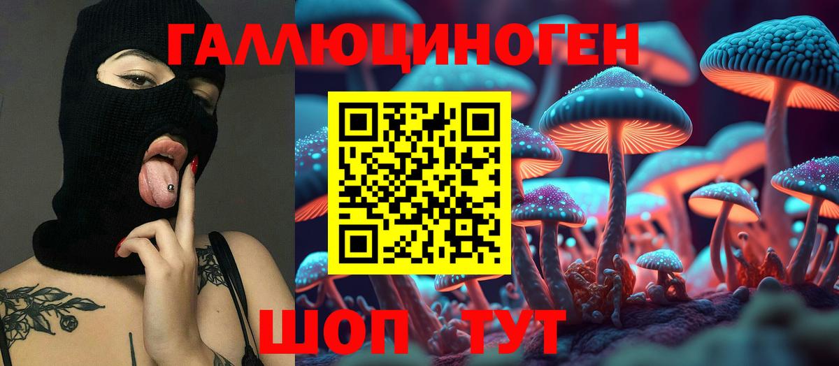 Псилоцибиновые грибы Psilocybe Тамбов