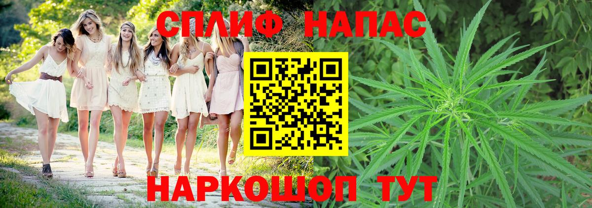 Бошки марихуана конопля Тамбов